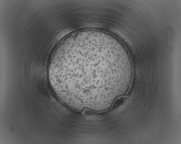 X0000116621025200912241748