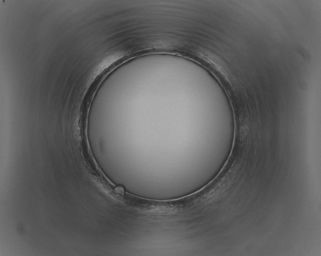 X0000116621026200912241748