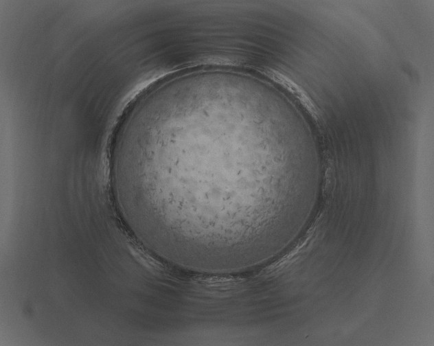 X0000116621027200912241748