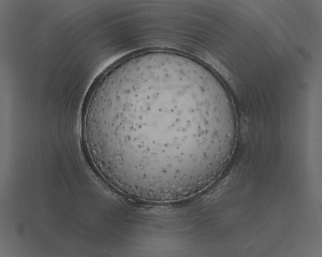 X0000116621028200912241749