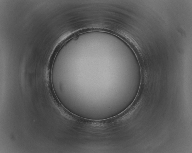 X0000116621029200912241749