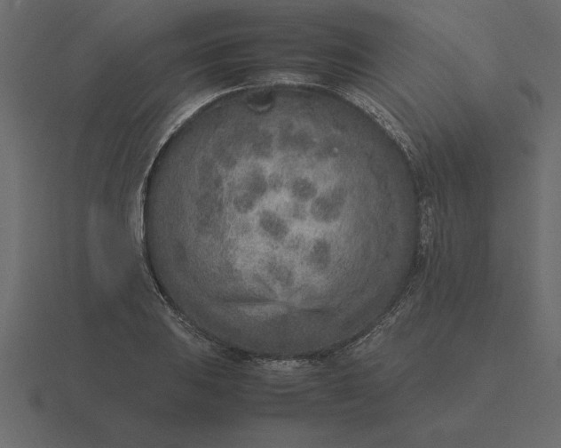 X0000116621031200912241749