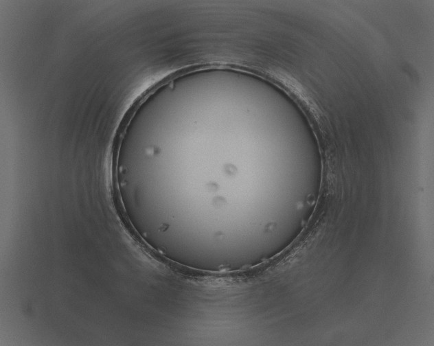 X0000116621032200912241749