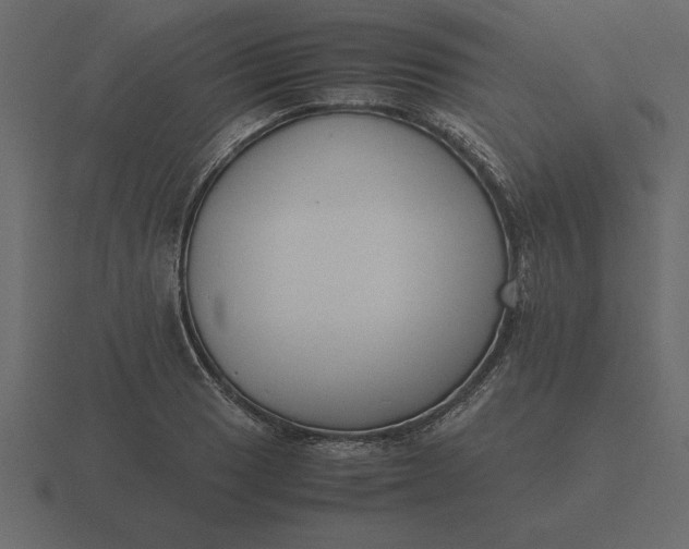 X0000116621033200912241749