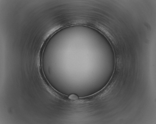 X0000116621034200912241749