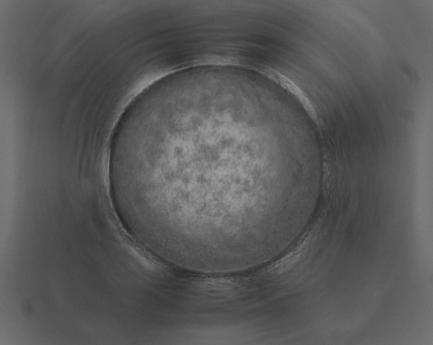 X0000116621035200912241749