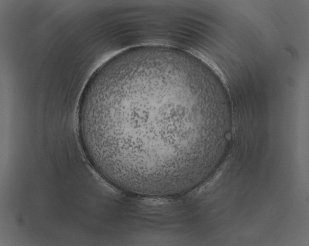 X0000116621037200912241749