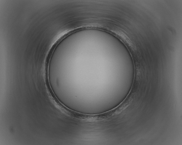 X0000116621038200912241749