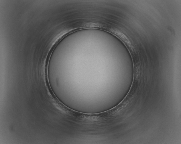 X0000116621039200912241749