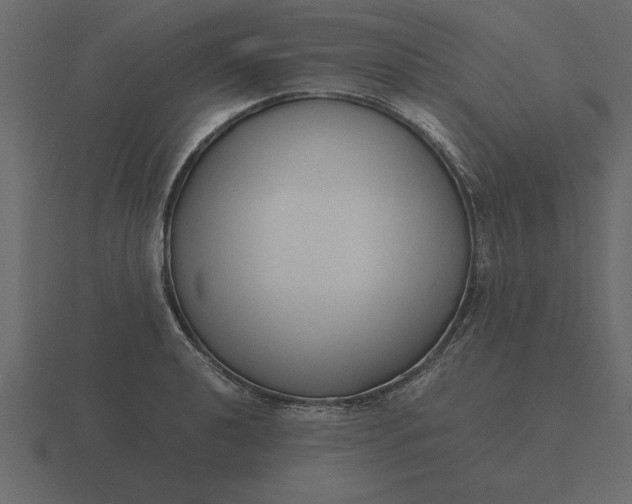 X0000116621040200912241749