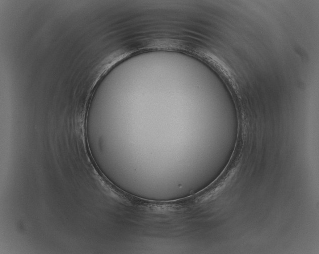 X0000116621041200912241749