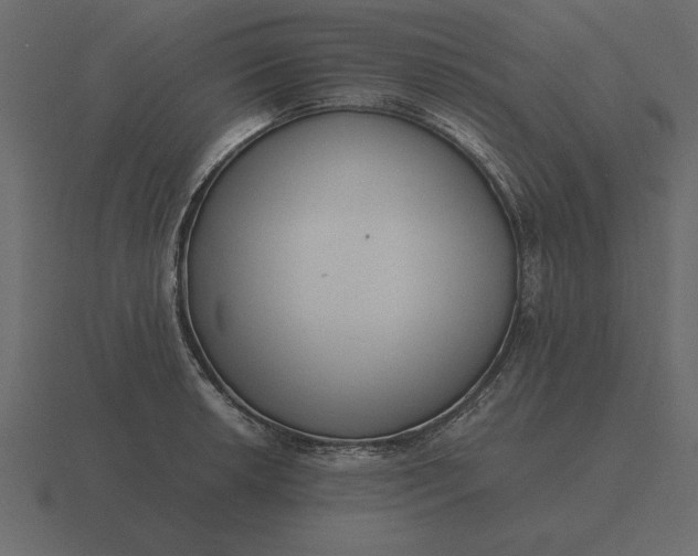 X0000116621042200912241749