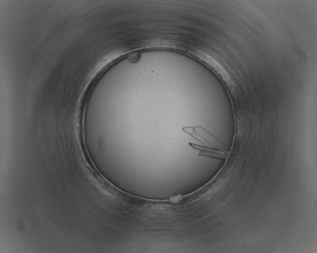 X0000116621043200912241749