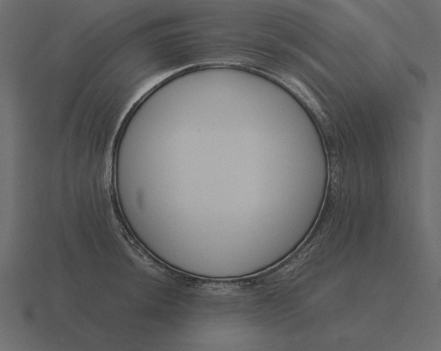 X0000116621044200912241749