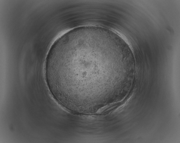 X0000116621045200912241749