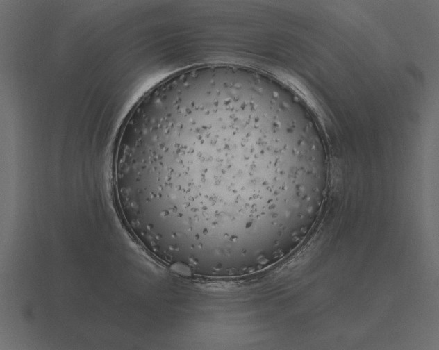 X0000116621048200912241749