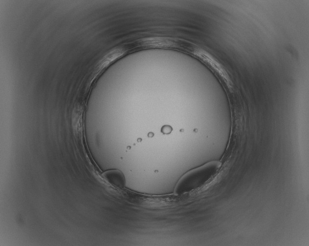 X0000116621049200912241749