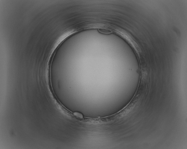 X0000116621050200912241749