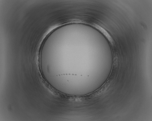 X0000116621051200912241749