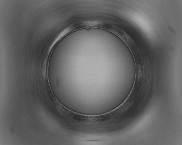 X0000116621052200912241749