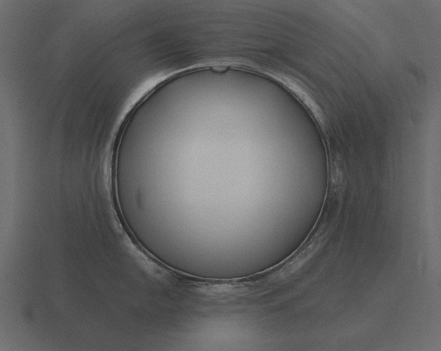 X0000116621054200912241749