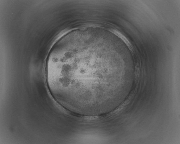 X0000116621055200912241749