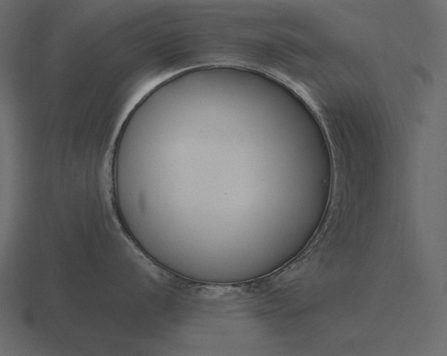 X0000116621056200912241749