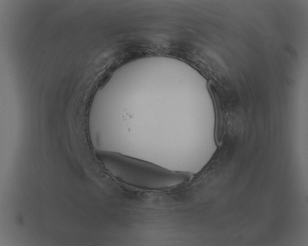 X0000116621057200912241748