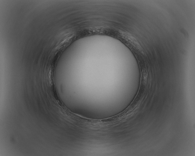 X0000116621060200912241748