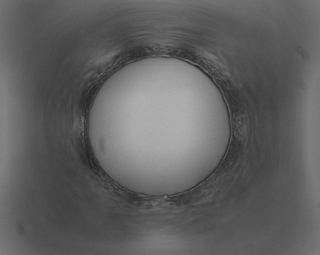 X0000116621061200912241748