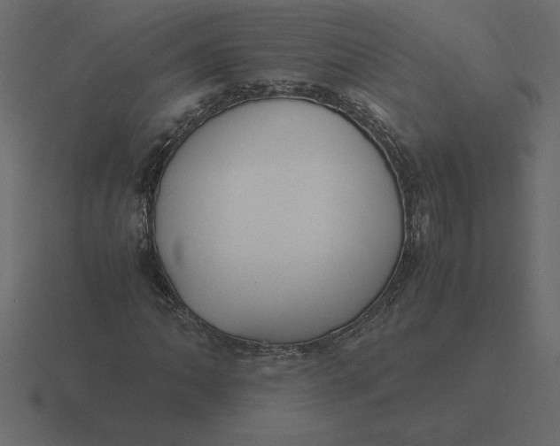 X0000116621062200912241748