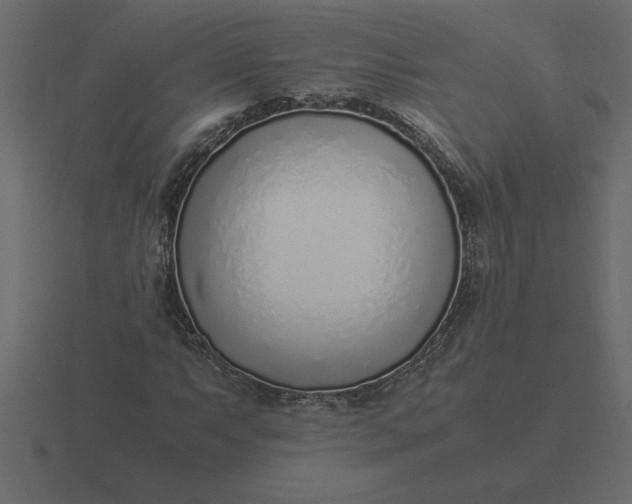 X0000116621063200912241748