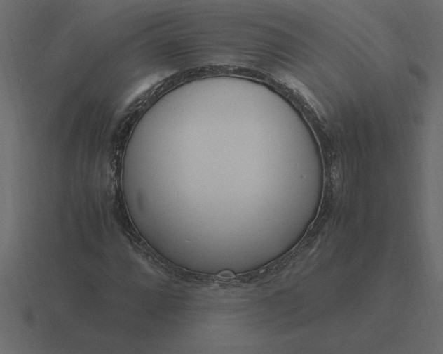 X0000116621064200912241748