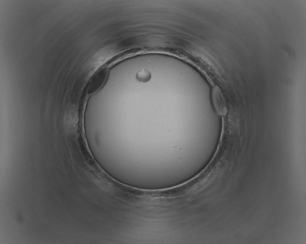 X0000116621065200912241748