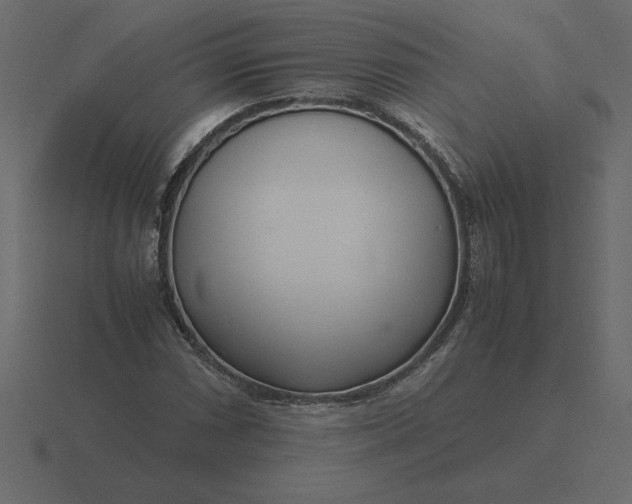 X0000116621066200912241748