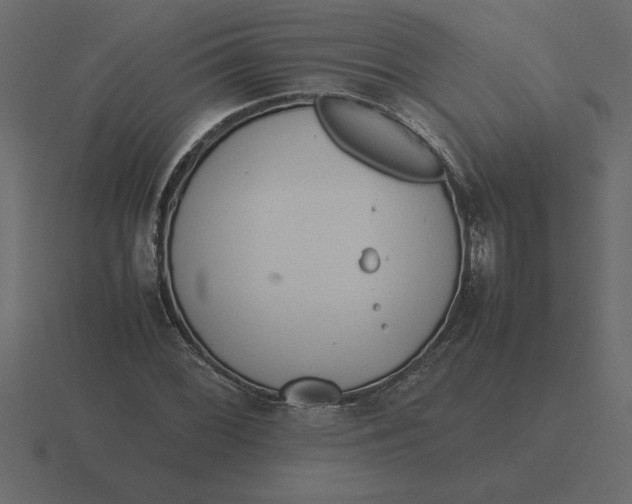 X0000116621068200912241748