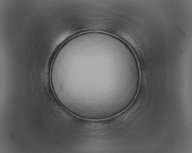 X0000116621071200912241748