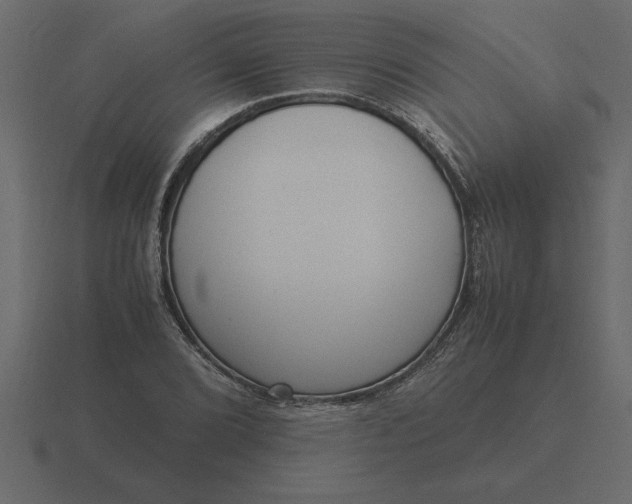 X0000116621072200912241748