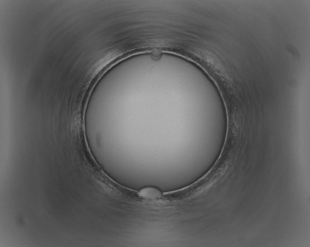 X0000116621073200912241748