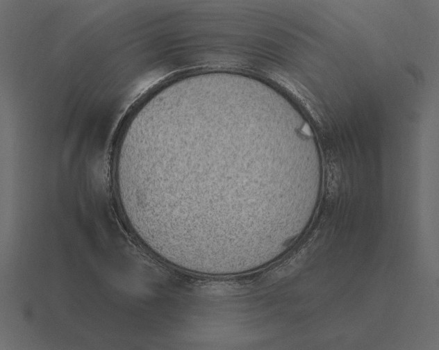 X0000116621074200912241748