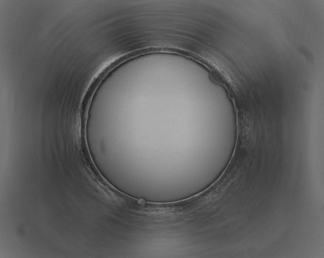 X0000116621076200912241748