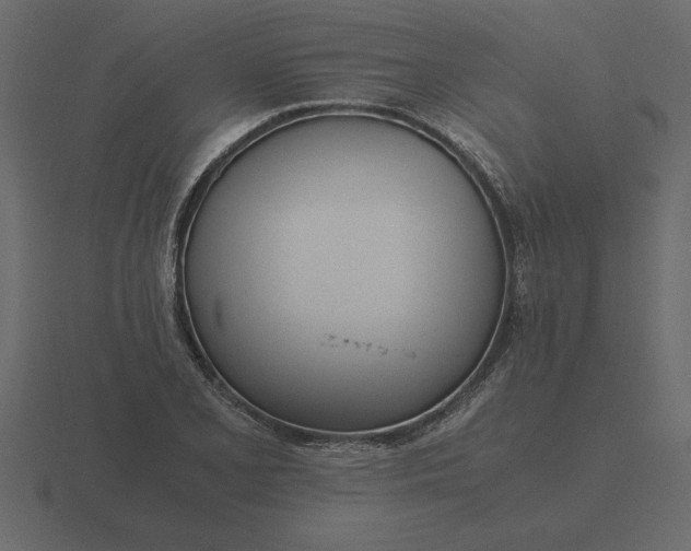 X0000116621077200912241748