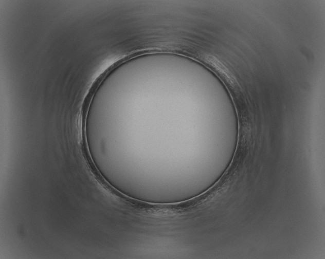 X0000116621079200912241748