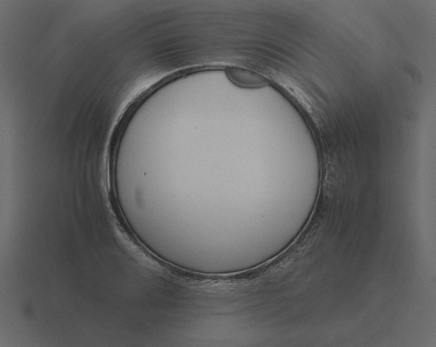 X0000116621080200912241748