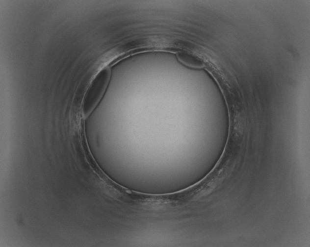 X0000116621081200912241748