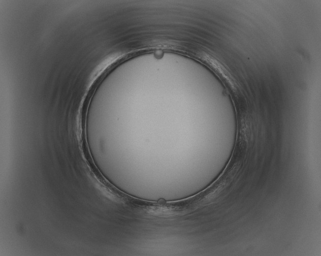 X0000116621082200912241748