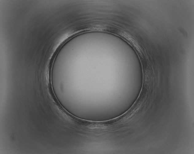 X0000116621083200912241748