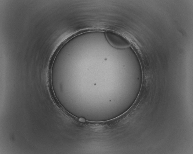 X0000116621085200912241748