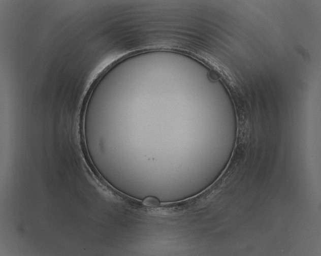 X0000116621086200912241748