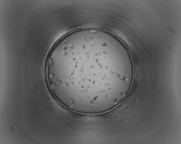 X0000116621087200912241748